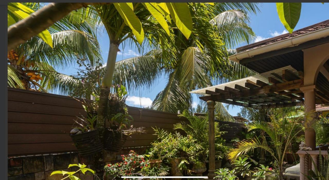Effie Mountain View Coco Villa Misere Екстериор снимка